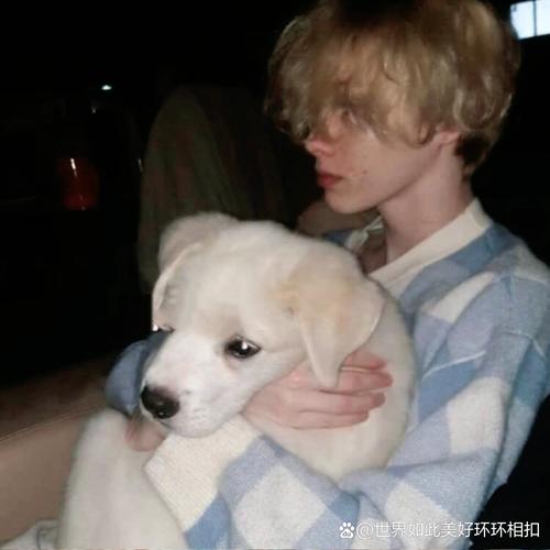 6686体育app初级作者Blythe