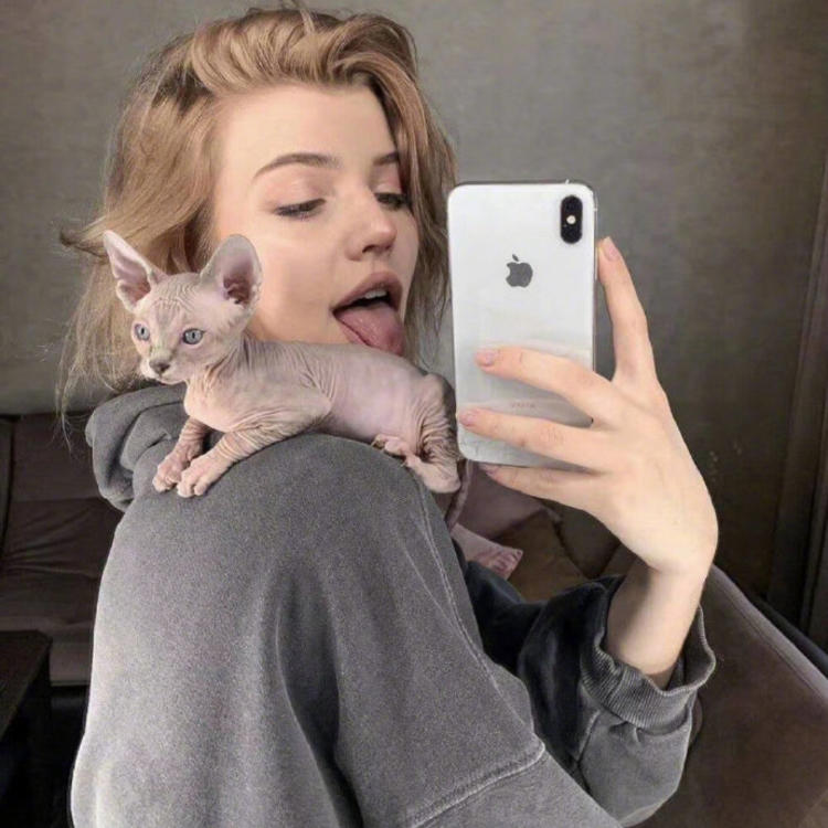 6686体育app铁牌作者Evan