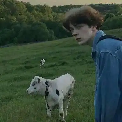 6686体育app钻石作者Neil