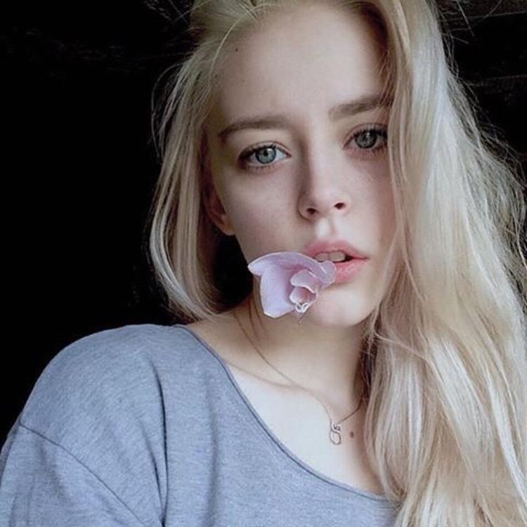 6686体育app中级作者残朵