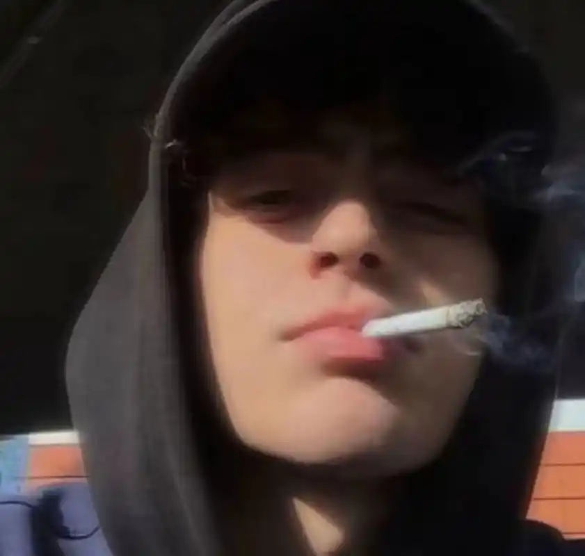 6686体育app官方作者Lily